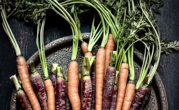 zanahorias frescas y coloridas en un plato